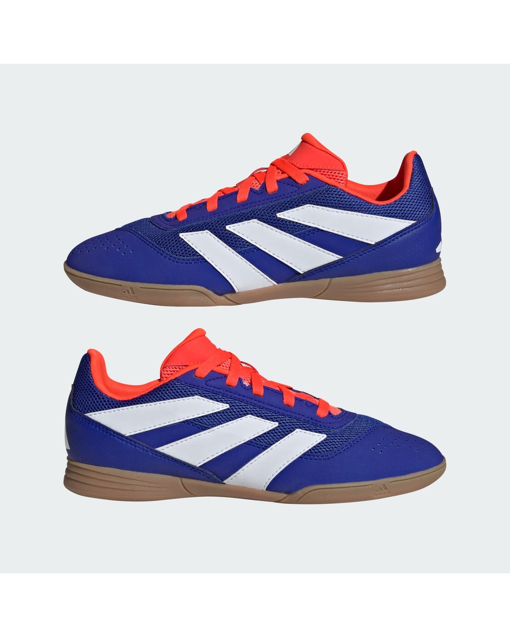 Youth Predator 24 Club Indoor Sala Boots