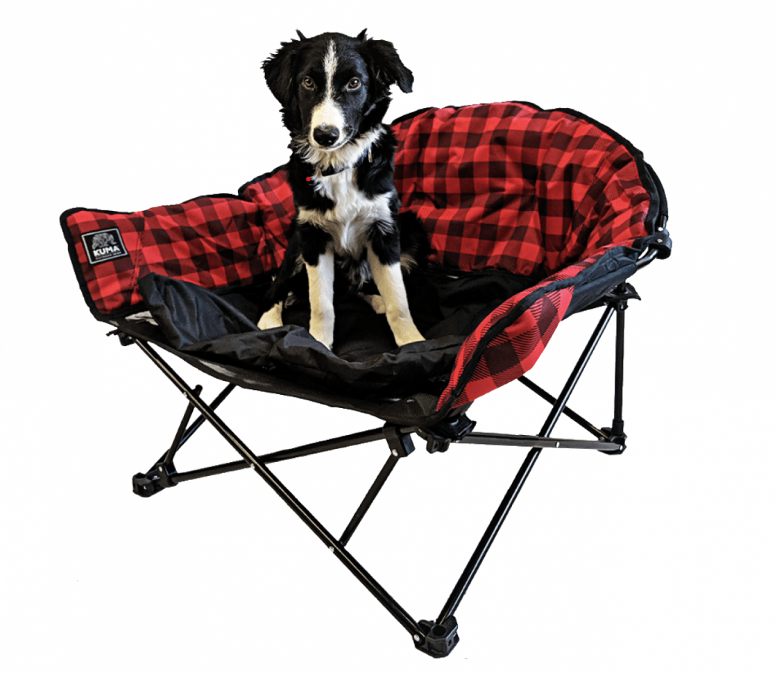 Dog bed for shop camping