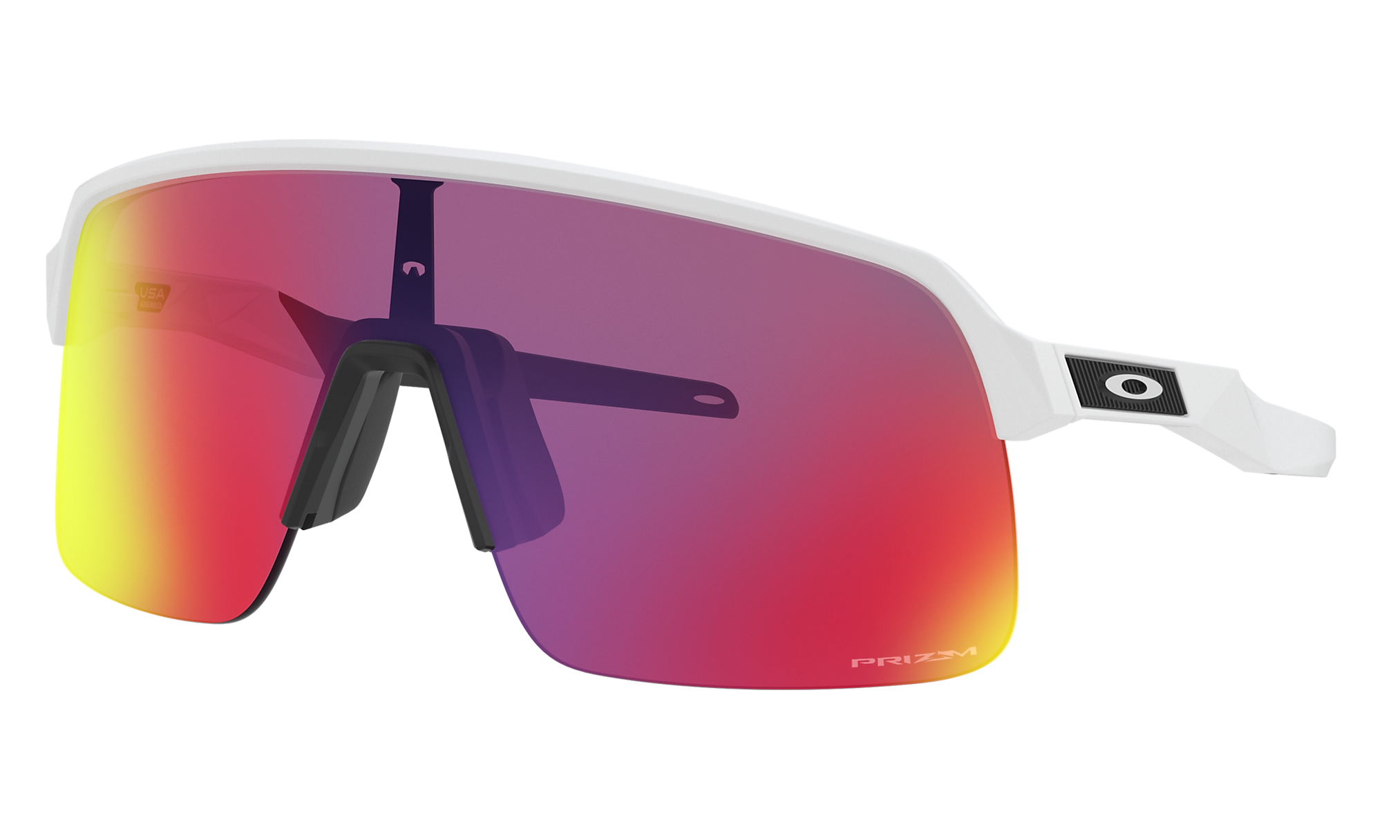 Oakley Sutro Lite Prizm – Ernie's Sports Experts