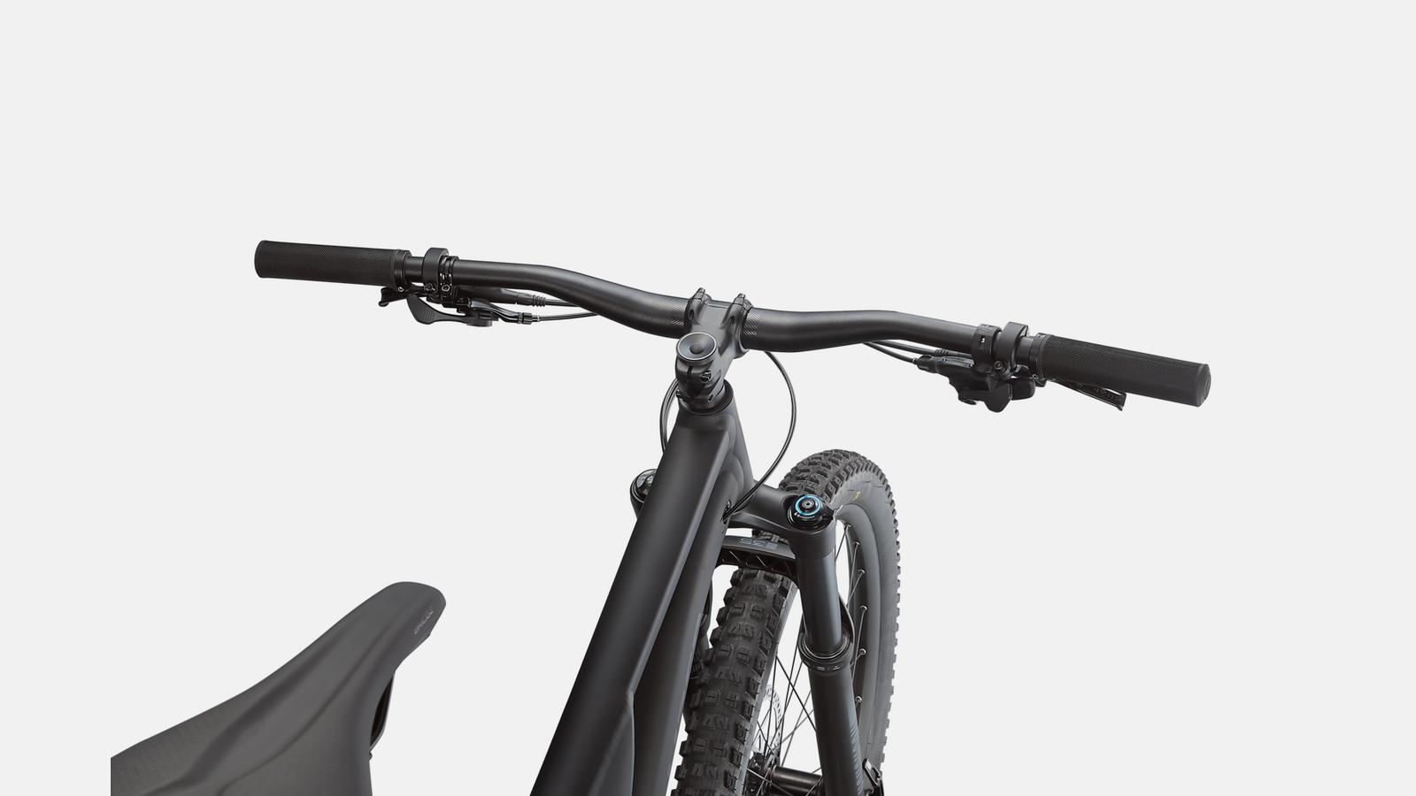 Stumpjumper Alloy