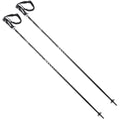 Vector Premium Men's Alpine Ski Poles