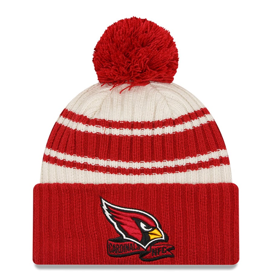 2022 Cold Weather Pom Knit Hat