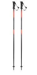 Vector 10 Ski Pole