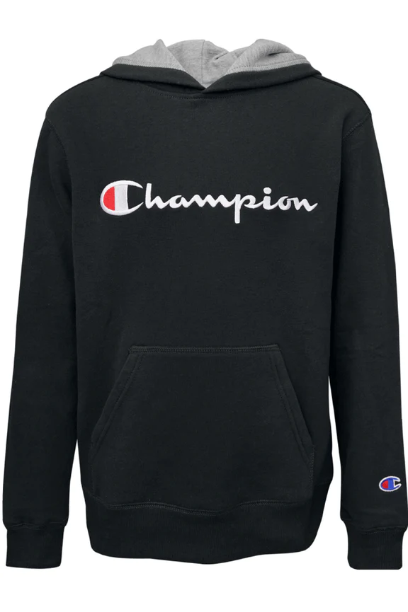 Champion young hot sale men's embroidered hoodie