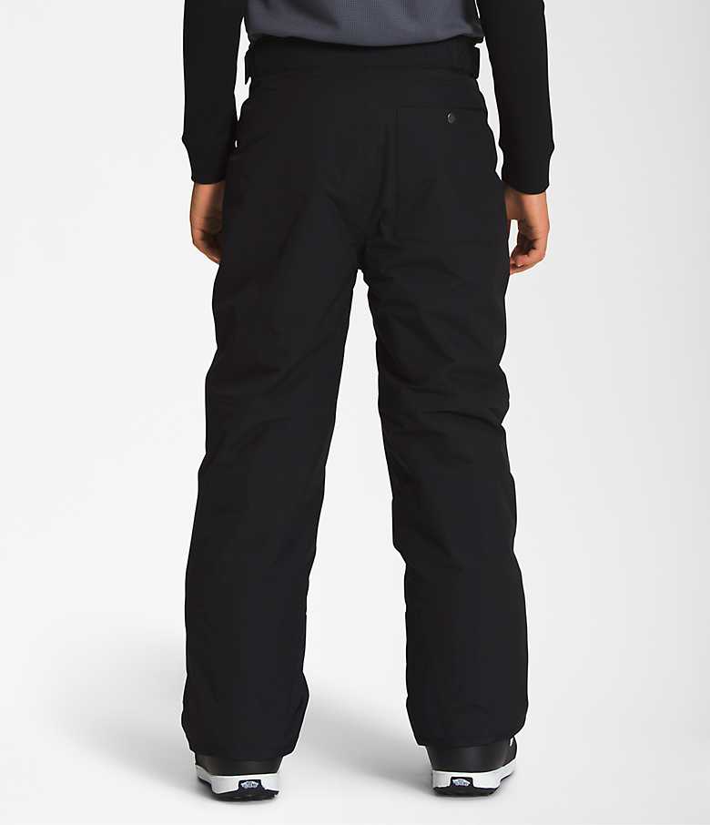 The North Face Boys' Freedom Insulated Pants