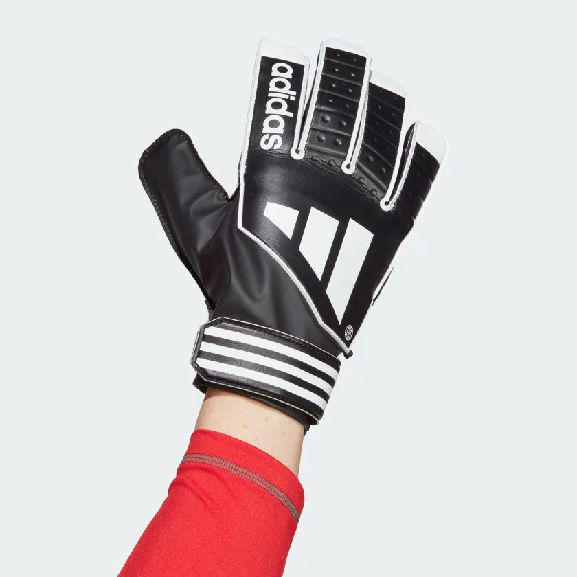 Adidas goalkeeper gloves ace sales trans pro