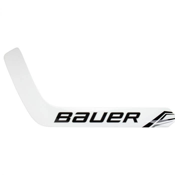 Youth GSX Prodigy Goalie Stick