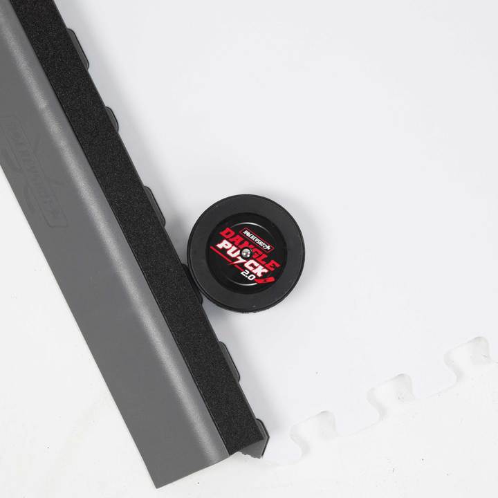 Dangle Puck 2.0