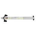 Vision 2.0 Junior Cross Country Ski Pole